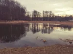 Німивноик шик оцогиа